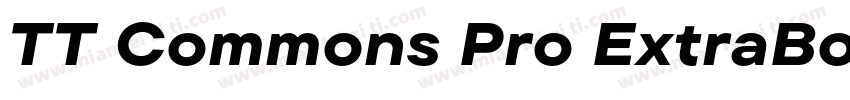 TT Commons Pro ExtraBold字体转换
